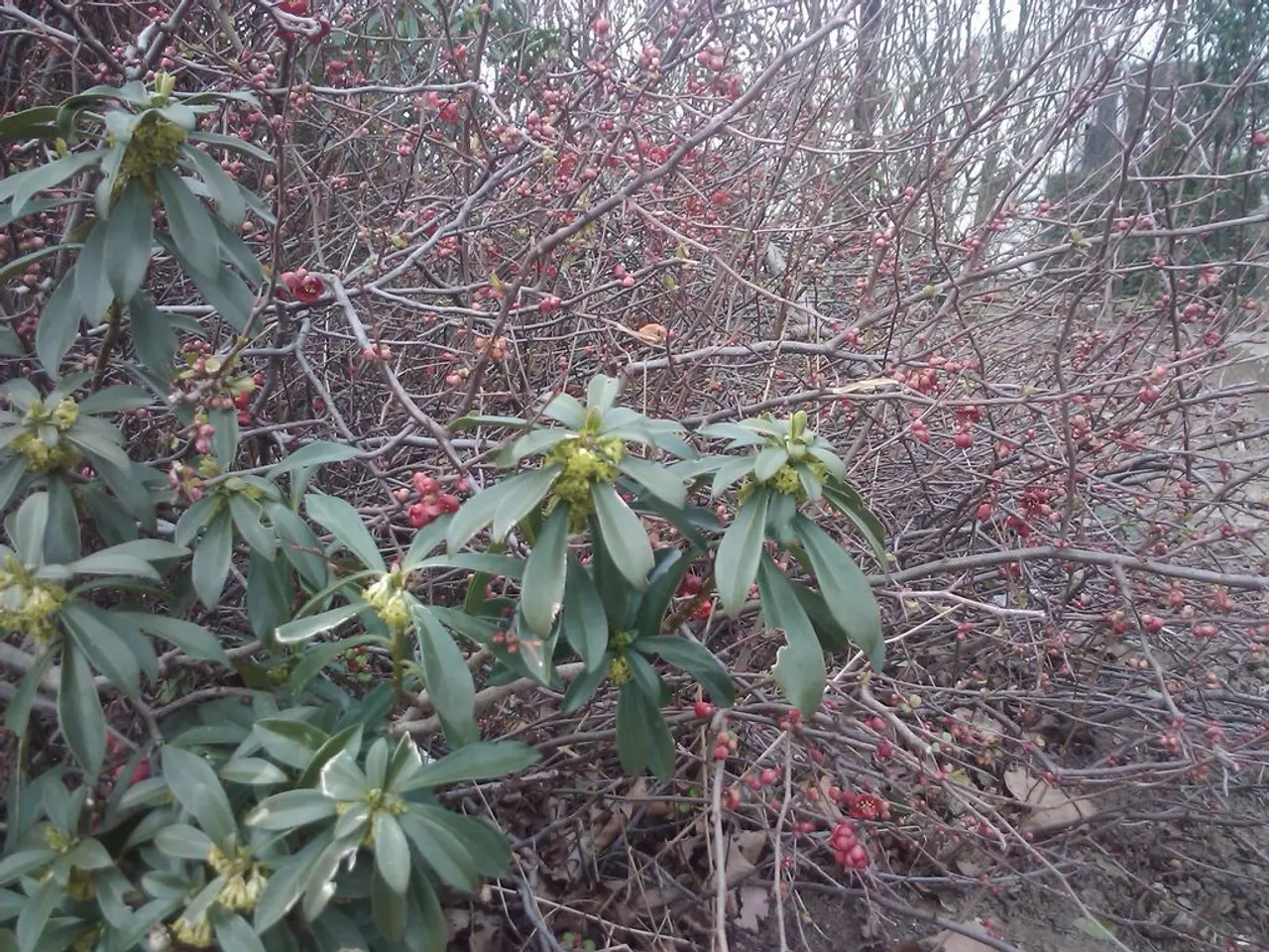 Right-Sided Headache: Origins, Significance, and Swift Alleviation Strategies