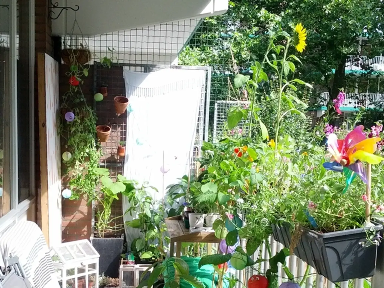 Kevin McCloud revisits allergy-resistant home to assess if changes aimed at boosting air quality...