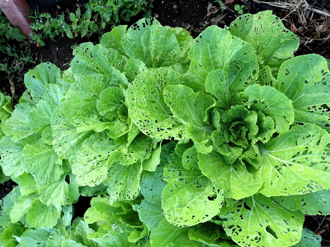 Environmental Protection Directive Proposal Requested from Commission