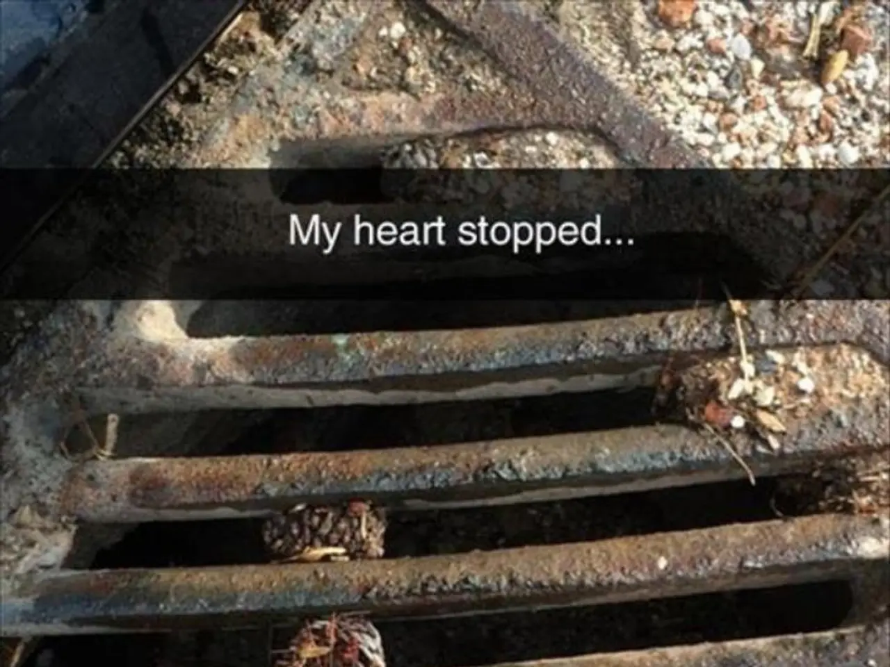 Research at the University of Bielefeld focuses on developing heart monitors suitable for space...