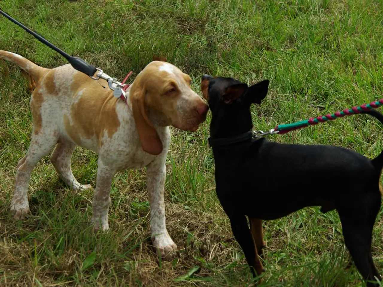 Ease the Tension: Unwind with These 9 Glute Stretches for Sore Muscles