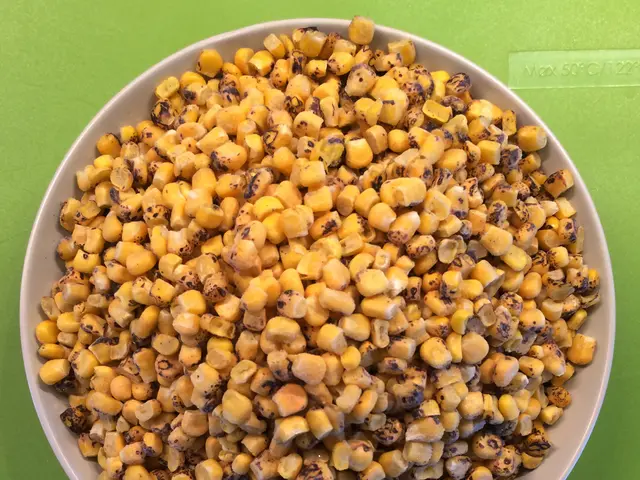 Is Consumption of Seed Oils Harmful? Here's a Breakdown of Crucial Facts