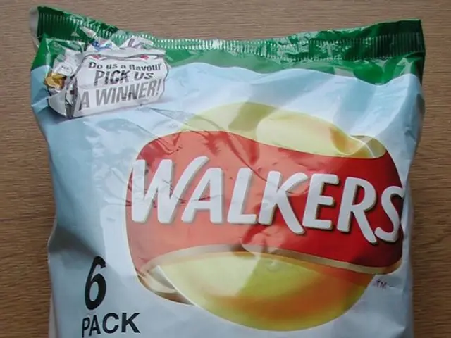 Guide for Newbies on Combining Nootropics: Effective Mixtures to Consider