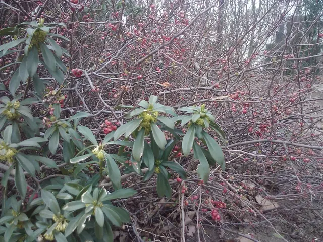 Right-sided headache origins, implications, and speedy alleviation strategies