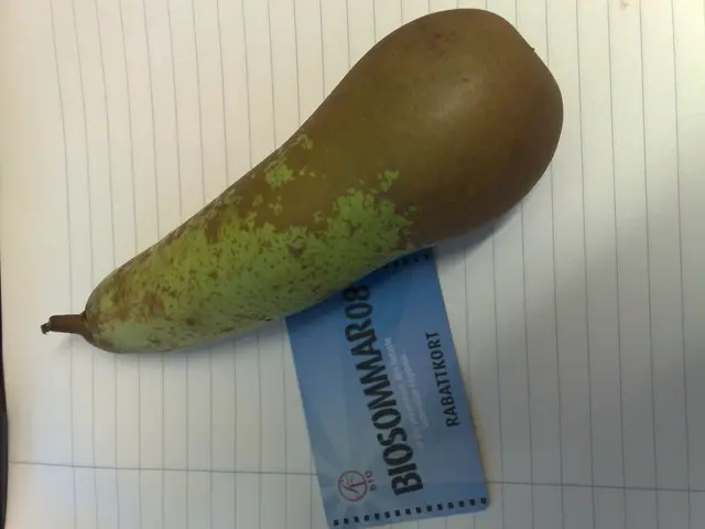 The potential resurfacing of a health issue, known as goiter, due to its shortage.