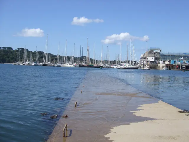 The enigmatic influence of rain upon our tranquility, promoting serenity and sleep.