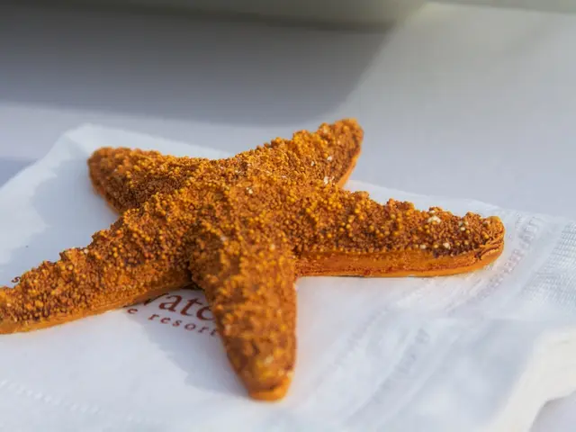 Connection between Dietary Choices and Enhanced Risk of Inflammatory Gastrointestinal Cancer