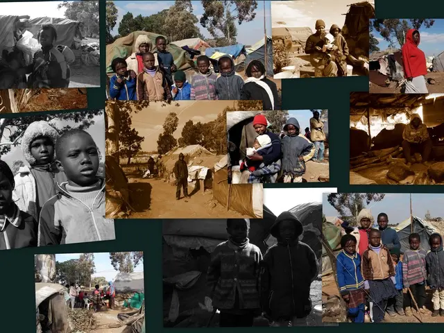 Harvesting Pine Nuts: Techniques, Nutritional Facts, Cultural Significance, and Farming Traditions