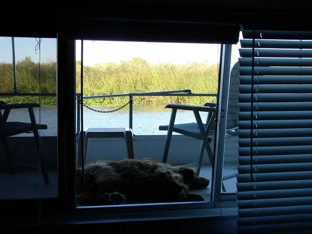 Safe measures to ensure your canine's well-being during summer months