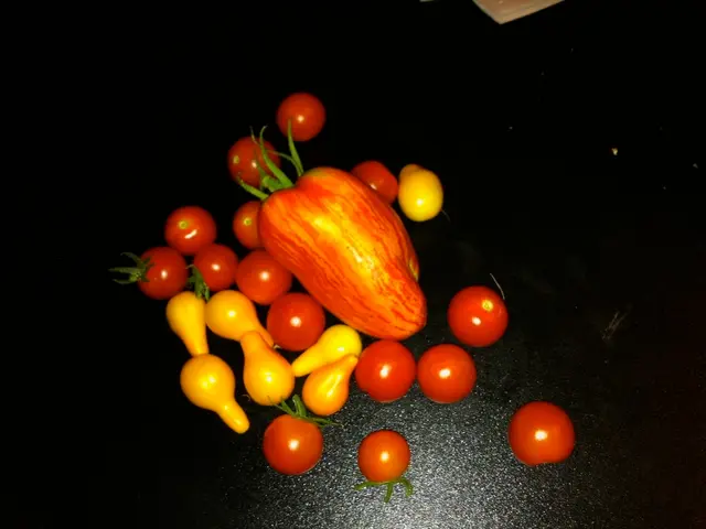 Papaya Fruit: Exploring Its Potential Health Advantages, Applications, and Potential Risks