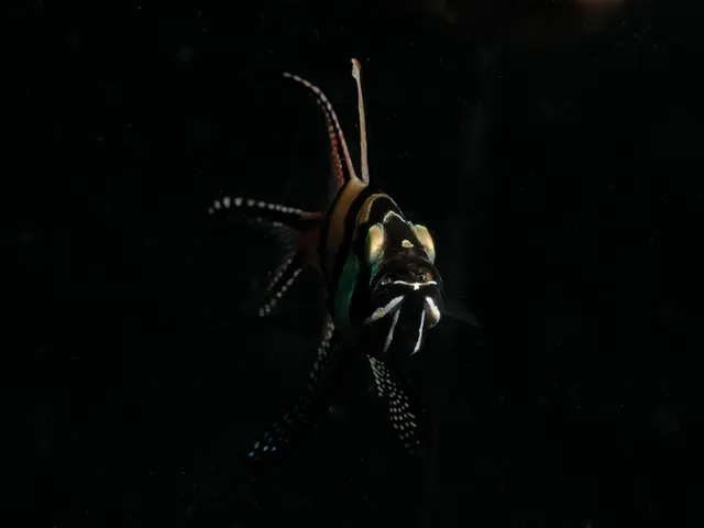 Revised Fish Consumption Model Aids Expectant Mothers in Identifying Safe Selections