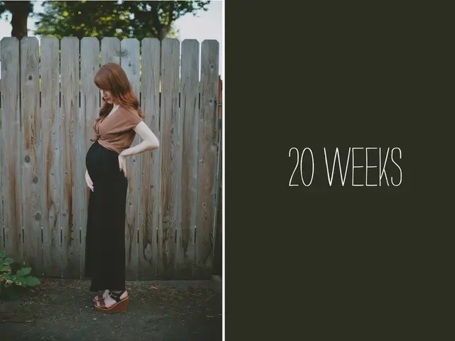 Pregnancy at 13 Weeks: exploring signs, hormonal changes, and fetal growth
