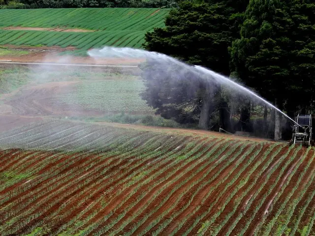 Committing Capital into Agricultural Farming Ventures