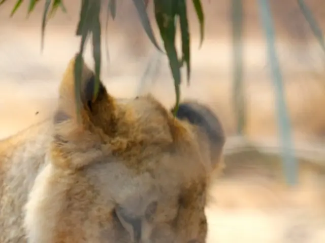 Spreading Threats of Harmful Animal Illnesses Across the Nation