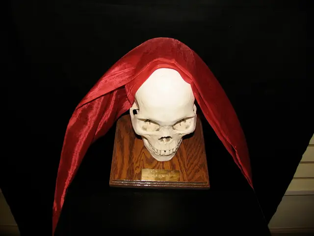 Outline of the Cranial Nerves: