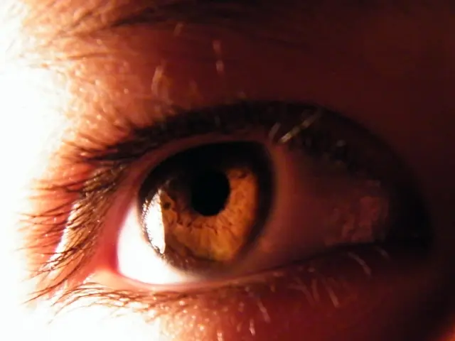 Hair thinning or loss in the eyebrow region: Reasons and remedies