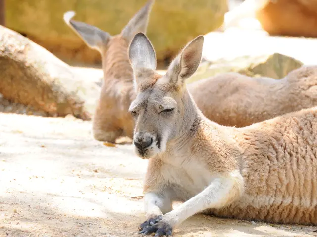 Pennsylvania Found Potentially Facing a Widespread Infestation of Ticks