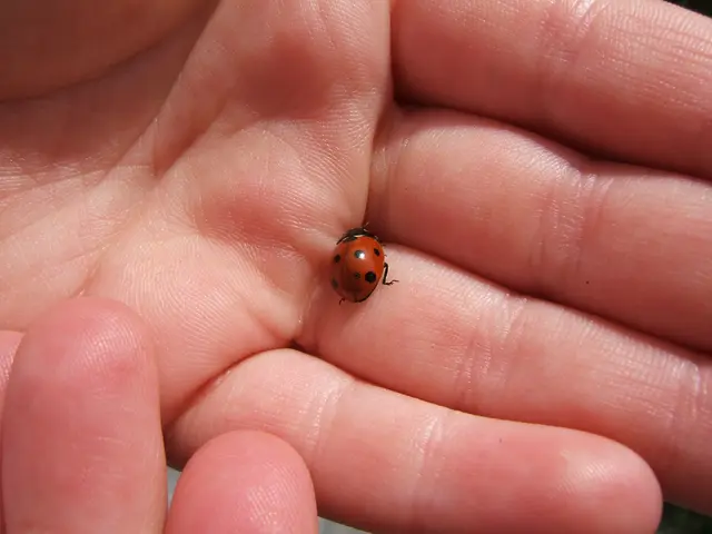 Reasons for Experiencing Lip Tingling or Numbness: An Examination