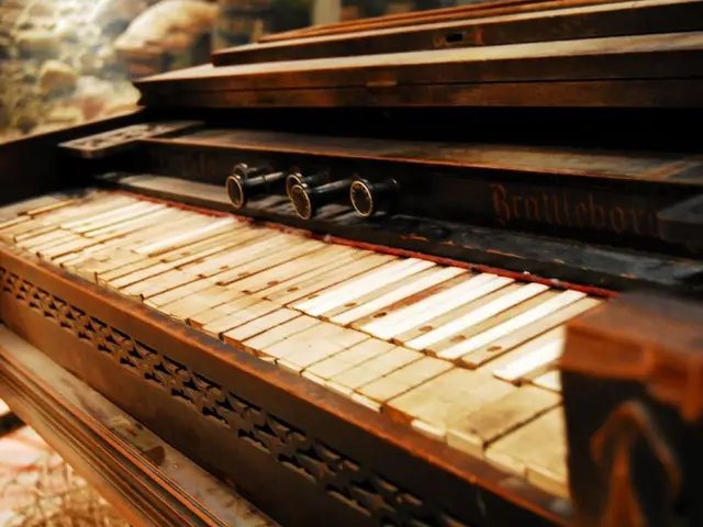 "Alon may perceive a sense of companionship in the confined tunnel setting."