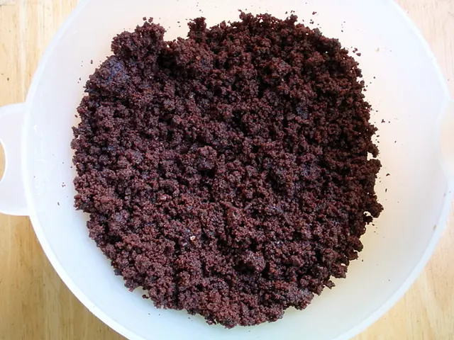 Intestinal Permeability Disorder: Description, Symptoms, and Remedies