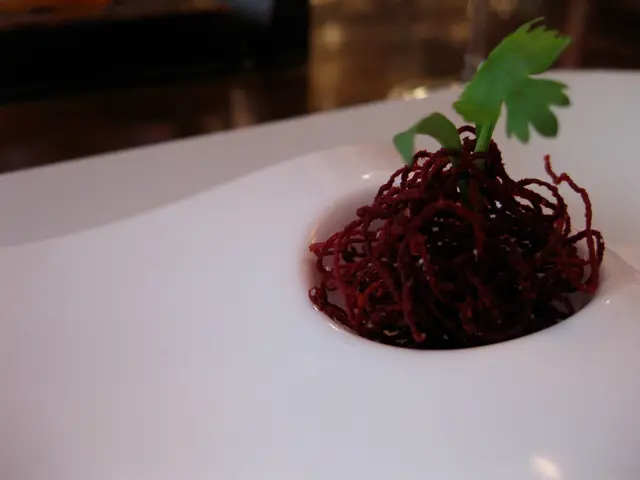 Vegan Ketogenic Diet: A Comprehensive Guide, Advantages, Food List, and Extra Details