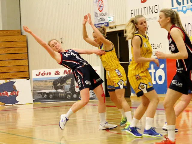 FDP News from the Northern Regions