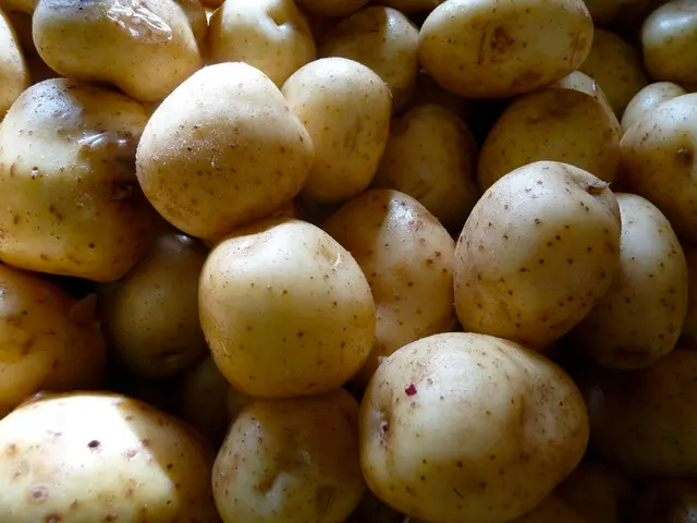 Growths on Potatoes: What Are They?
