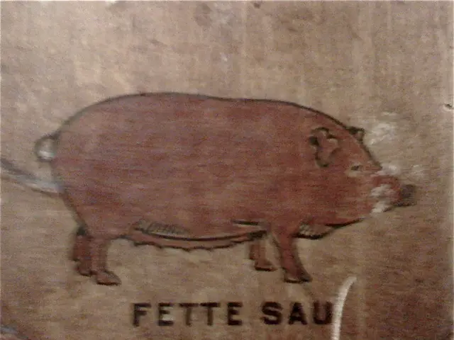 Genetically modified US meat may become a reality, explained hereafter.