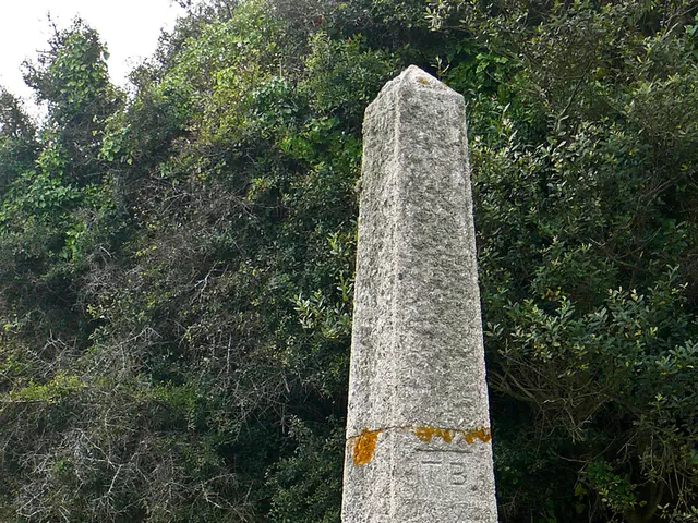 Investigation into recovery of children's skeletal remains commences at Irish house for unmarried...