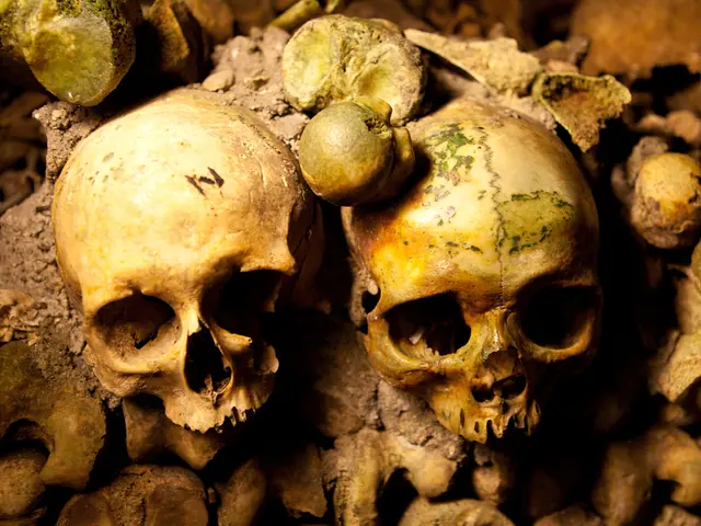 Archaeological Analysis through Mass Spectrometry in Zoology