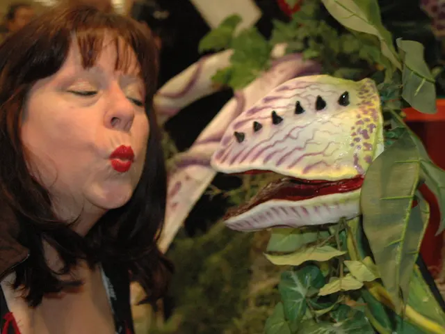 Medical concerns that post-menopausal women should give sufficient attention to