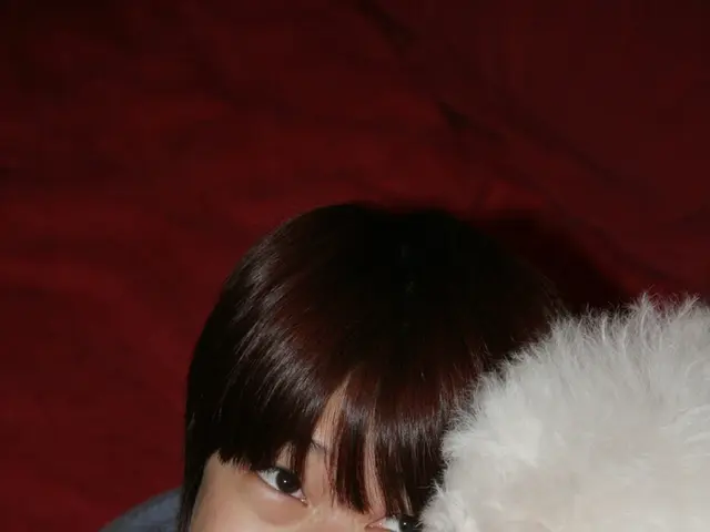 Strategies for Mending an Anxious-Avoidant Romantic Bond (Along with Knowing When It's Time to...