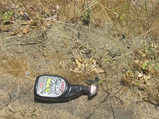 Enhancing Mineral Absorption in Soil: Identifying Key Influences and Processes