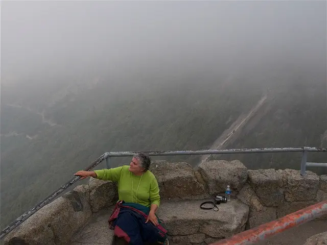 Immersive Forest Meditation: The Stress-Relieving and Mood-Enhancing Benefits of Virtual Reality