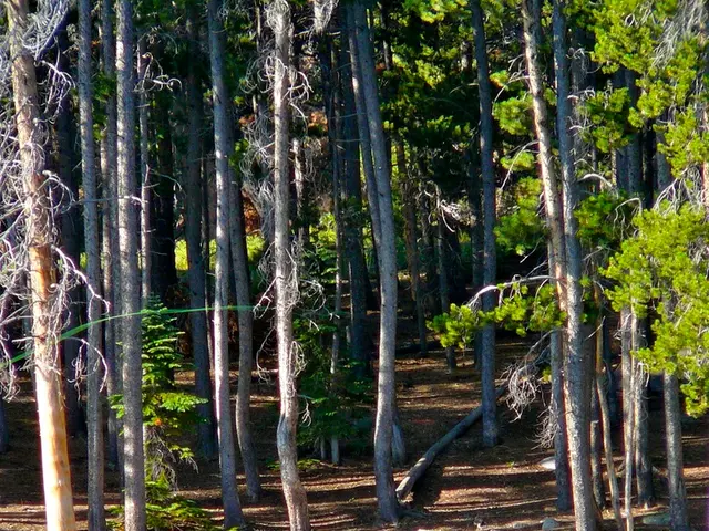 Identifying an Overabundance of Negative Individuals: Recognizing Symptoms and Coping Strategies