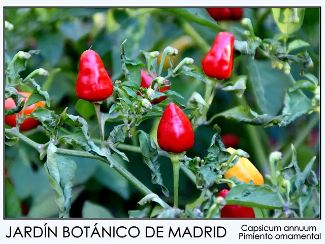 Enhance Your Resistance Against COVID-19 with a Variety of Vegetables, Herbs, and Fruits