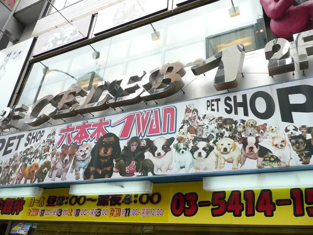 Exploring Art's Restorative Potential