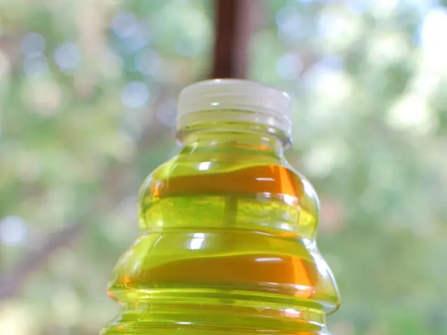 Enhance Energy Levels Naturally in January | Gardenuity's Guide