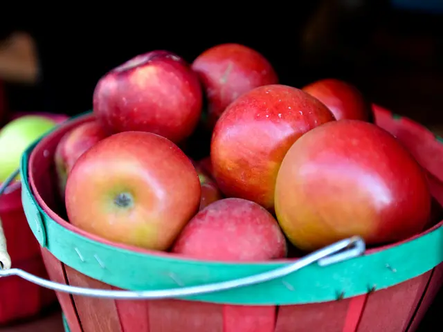 Kuban researchers transform apple processing leftovers into nutritious food products