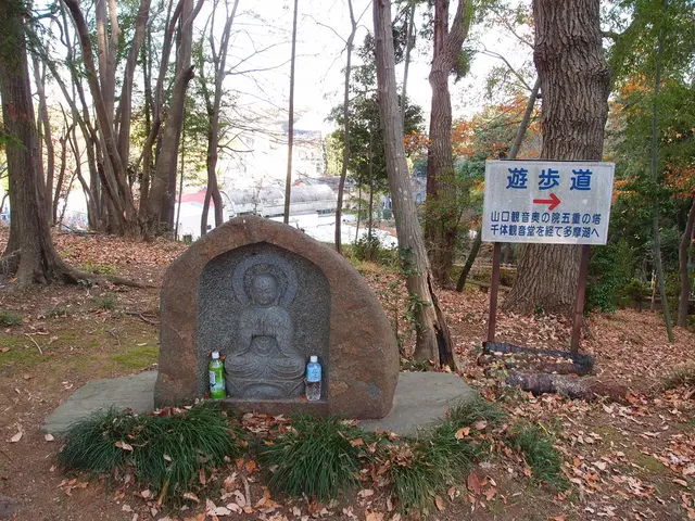 "My ardent devotion lies with Sebastian Kneipp"