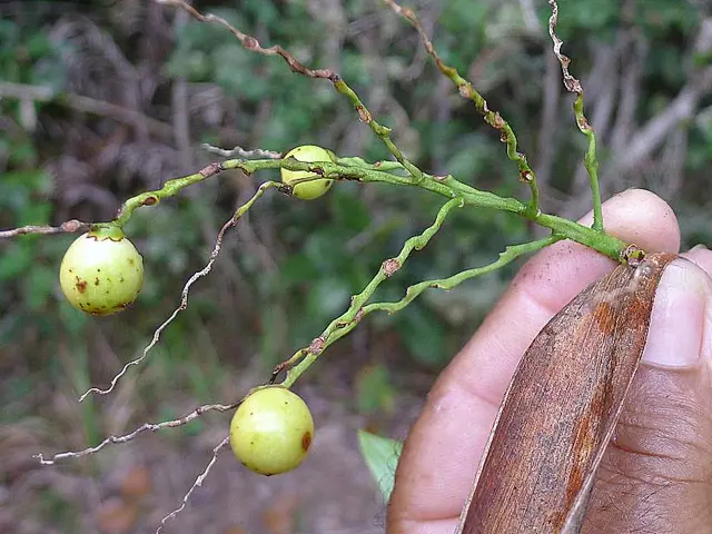 Biology Department Leader, Tania Baker, Resigns from Position