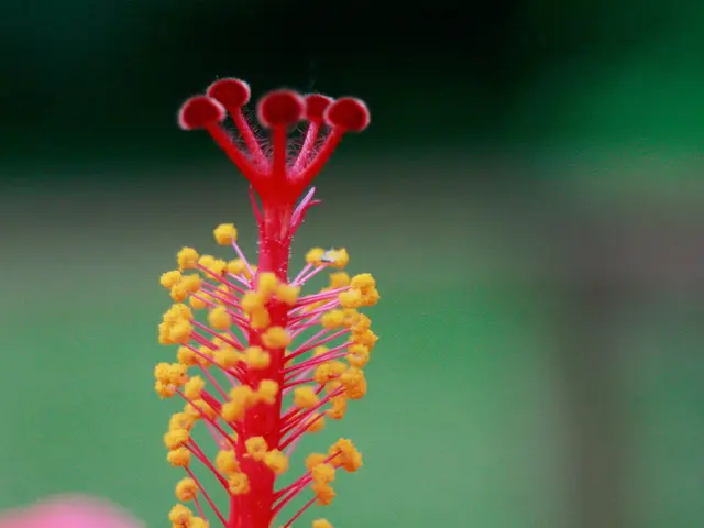 nation expands automated network for pollinating species