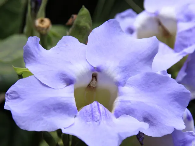 Morning Headache: Origin, remedies, and avoidance strategies