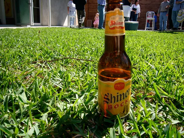 Brewing Ecologically Friendly Beer: Vegan Beer Creation
