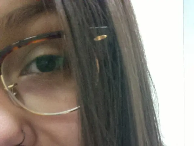 LensCrafters Evaluation: Company and Spectacles Offerings