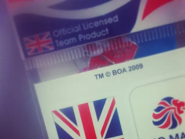 Inequalities Among Patients Fitted with Heart Implant Devices in Light of Race