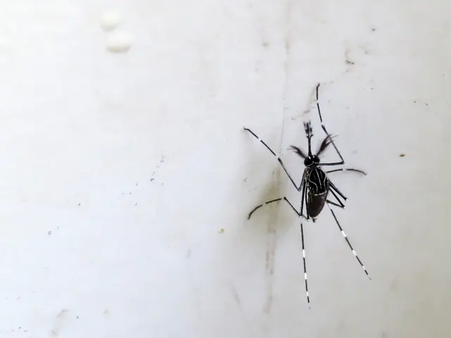 Italy has experienced ten fatalities due to the West Nile virus since the year began.