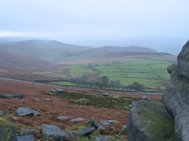 Revealing Demands for the Moor of Kingsbruch's Re-wetting Made by Green