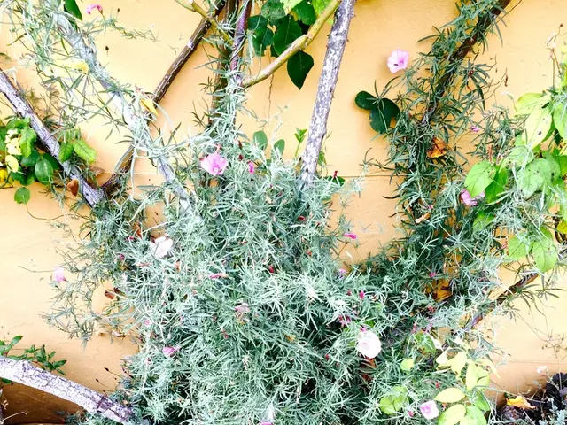 Exceptionally hardy flora handpicked by leading global specialists constitute the premier...