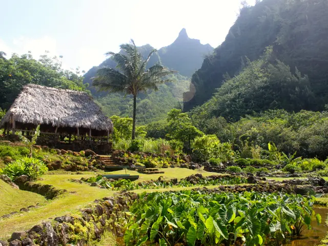 Automated Identification of Pain in Children through Facial Expressions and Skin Conductance